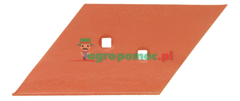 Skimmer share | zdjęcie nr 1